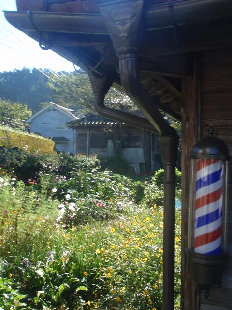 b0053478_235285.jpg