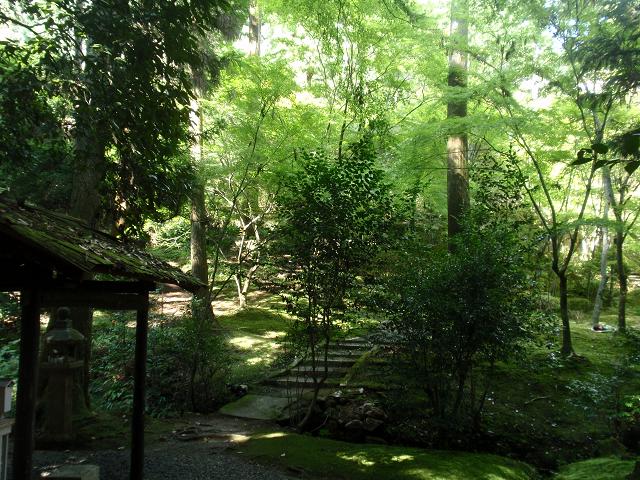 b0053478_2462520.jpg