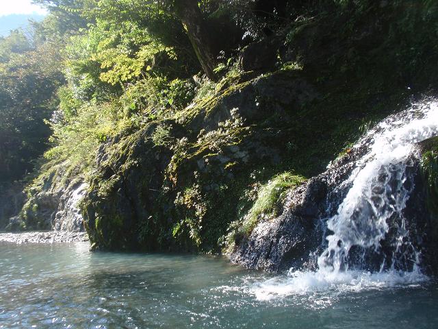 b0053478_284351.jpg