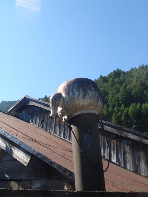 b0053478_295452.jpg