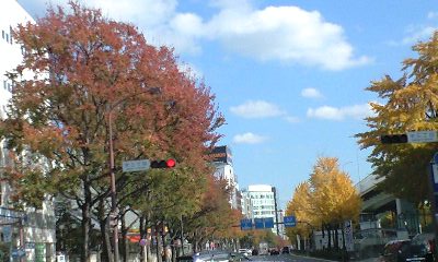 f0149982_20273771.jpg