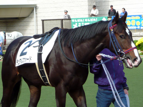 a0036685_11162288.jpg