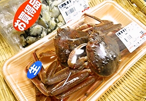 b0068687_221863.jpg
