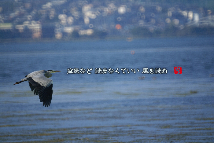 c0186592_11495682.jpg