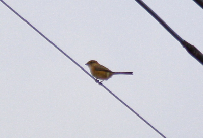 d0133693_224036.jpg