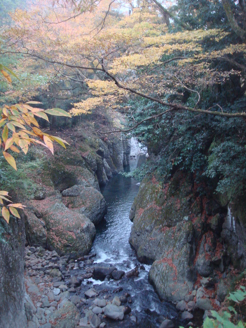 e0111793_21375754.jpg