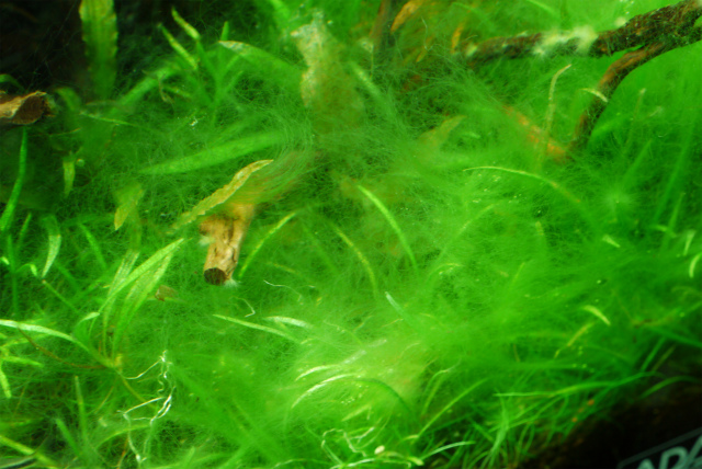 c0225297_61448.jpg
