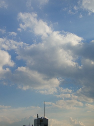 d0005397_004134.jpg