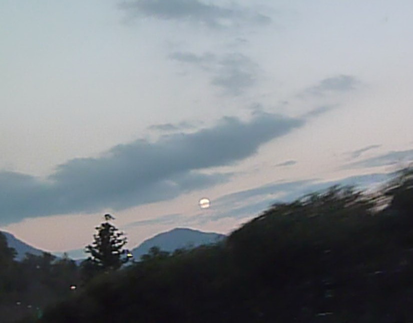 c0138198_6164614.jpg