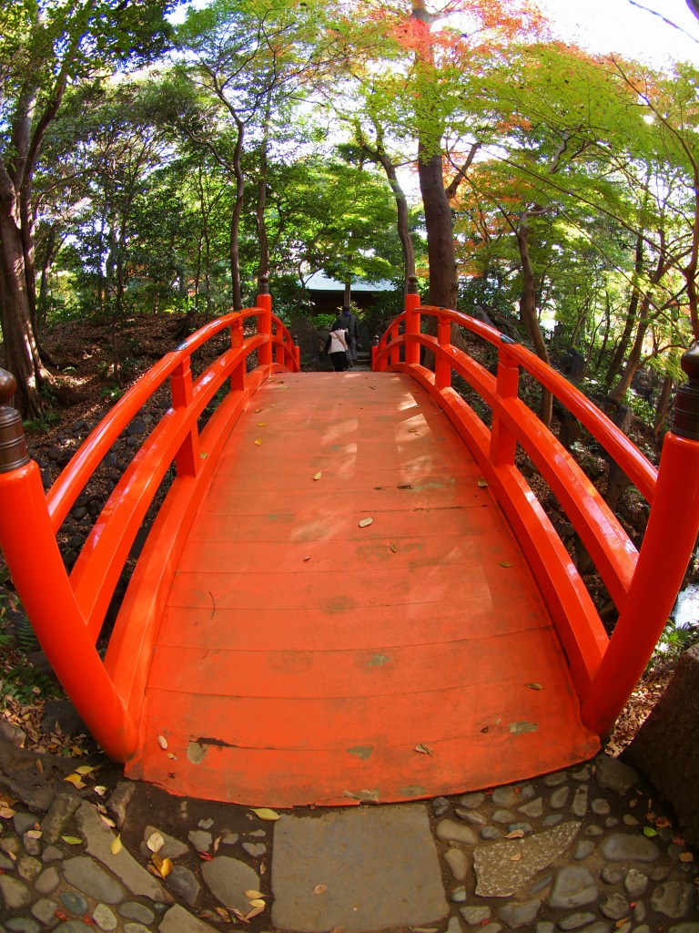 f0224100_23343953.jpg