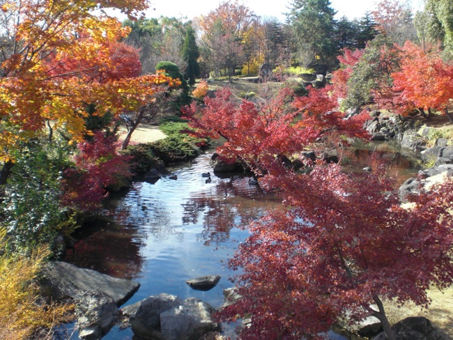e0163202_1832248.jpg