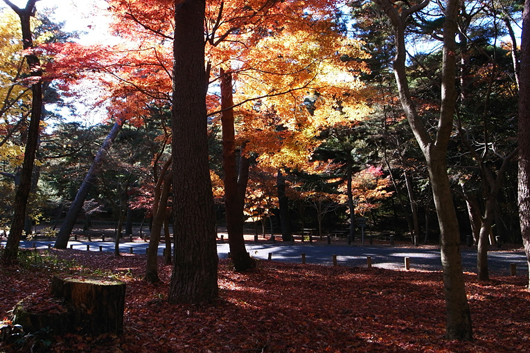 c0102003_13571357.jpg