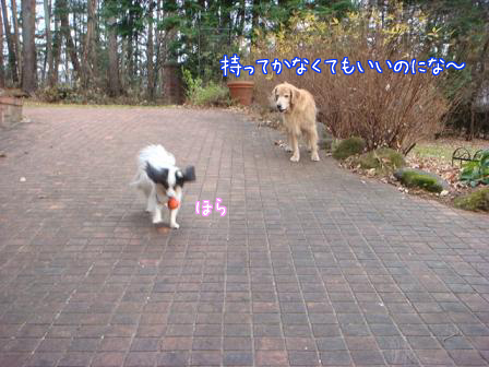 f0064906_1782919.jpg