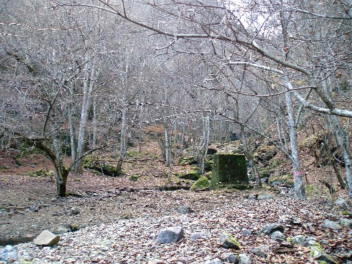 e0118908_13172371.jpg