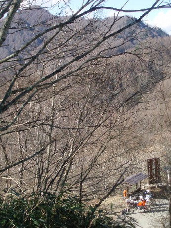 e0118908_13355797.jpg
