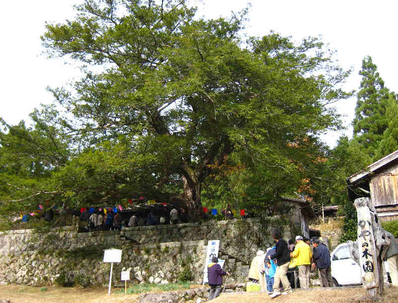 d0154609_1614840.jpg