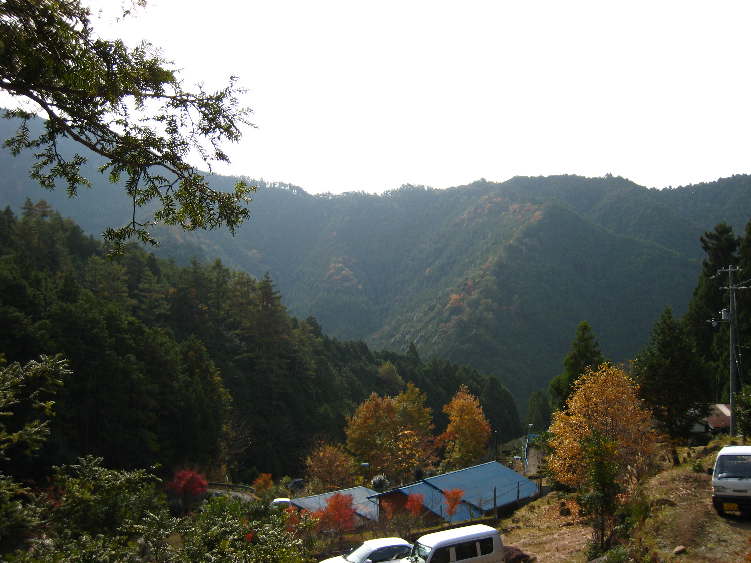d0154609_16432778.jpg