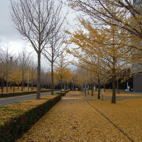 f0006510_22251395.jpg