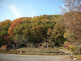 c0141011_18283594.jpg