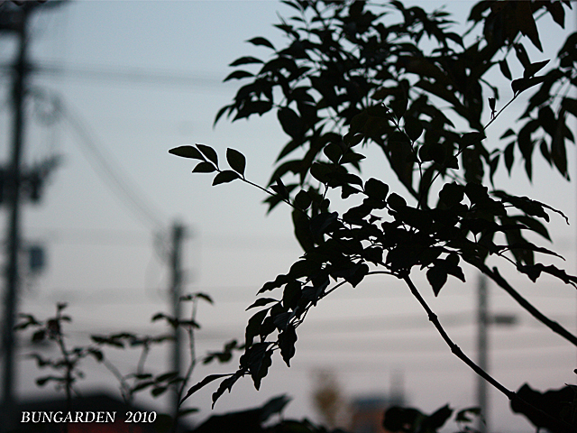 d0180114_13422026.jpg