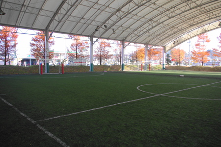 a0030217_18455252.jpg