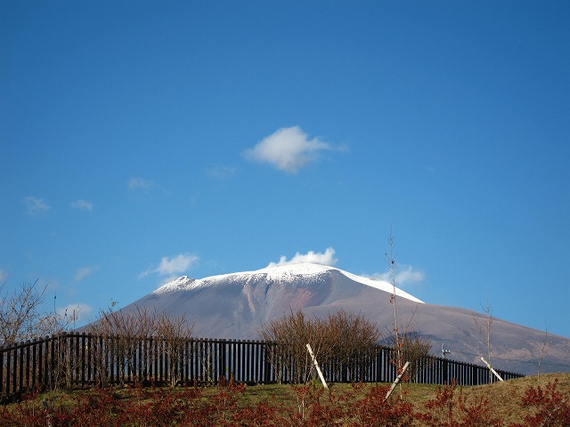 e0192217_82526.jpg