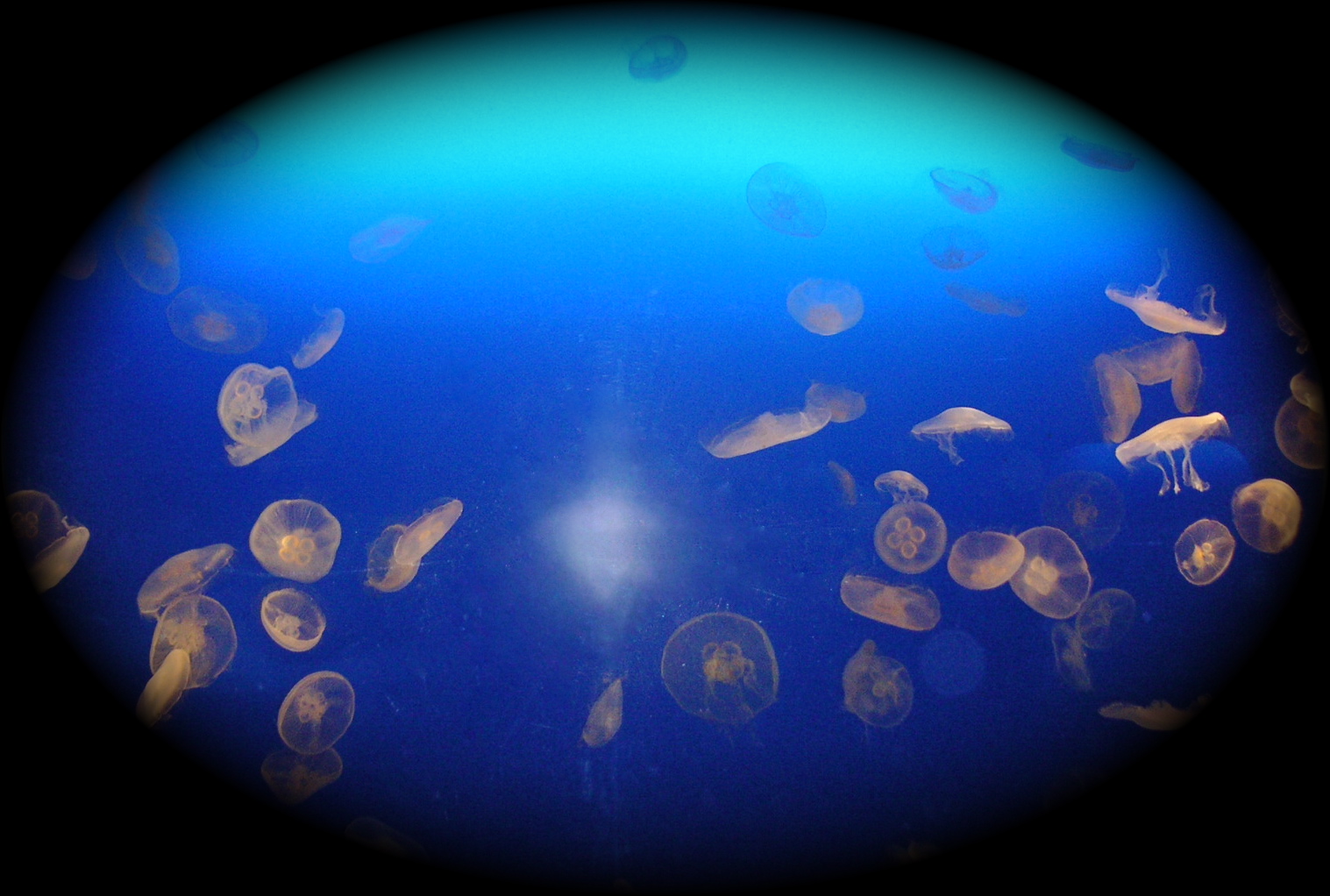 a0135320_033868.jpg