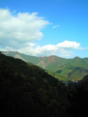 e0114823_2222372.jpg