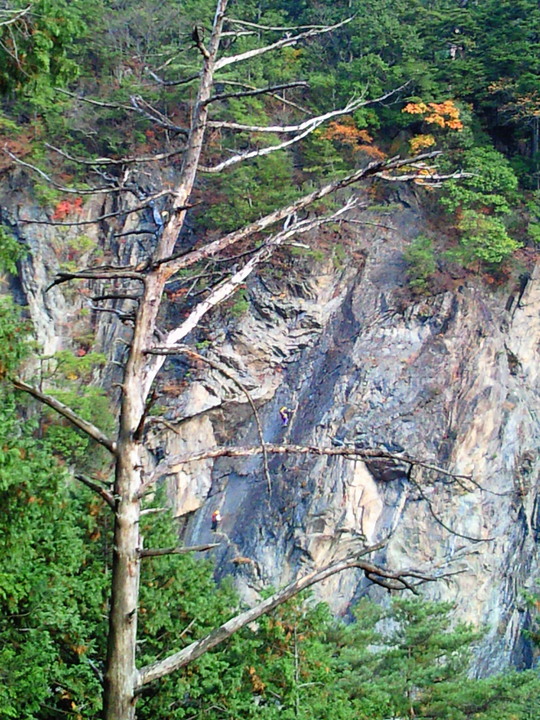 e0114823_2264358.jpg