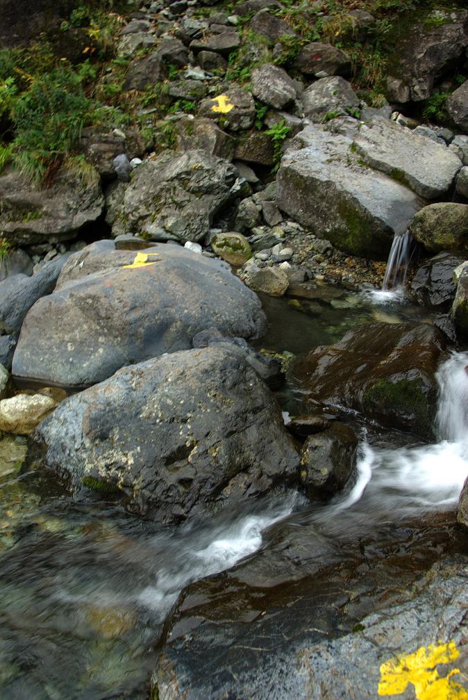 b0062024_1110686.jpg