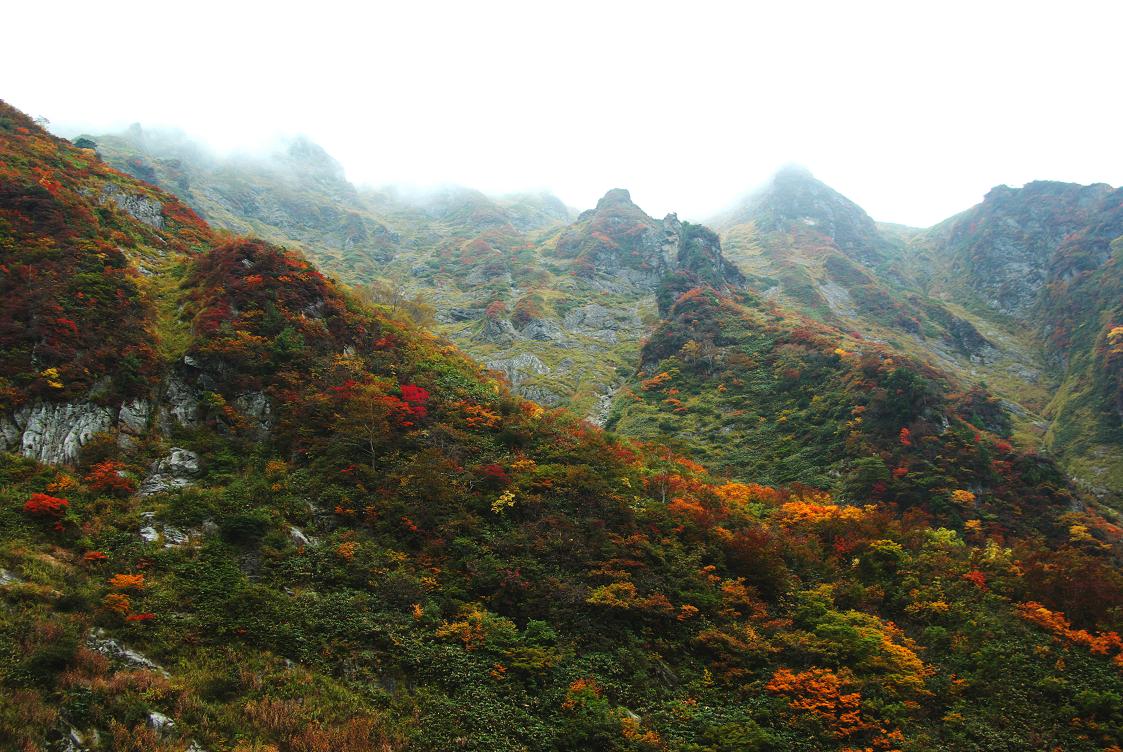 b0062024_11115267.jpg