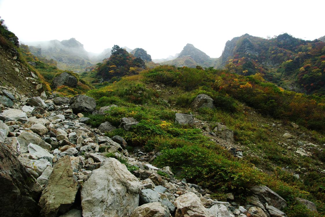 b0062024_1171198.jpg
