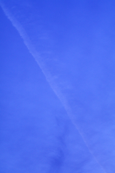 a0145825_21342221.jpg