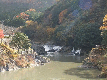 a0151727_16312982.gif