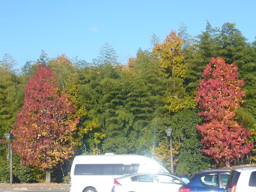 b0164533_22443491.jpg