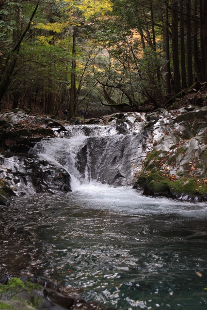 f0217933_10431274.jpg