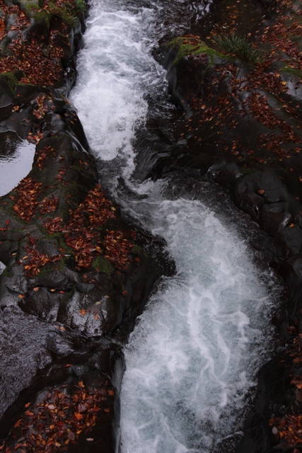 f0217933_10515470.jpg