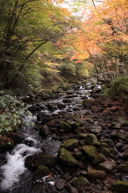 f0217933_1112439.jpg