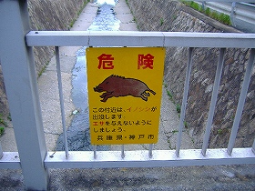 c0056437_23162788.jpg