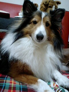 f0210439_0352330.jpg