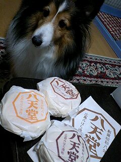 f0210439_07342.jpg