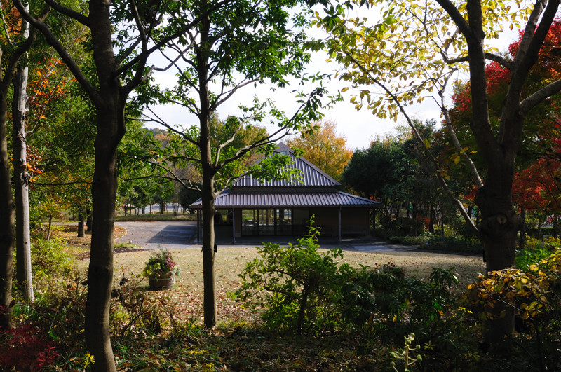 b0190445_18305063.jpg