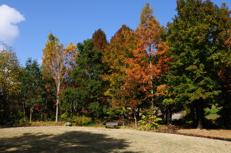b0190445_1831967.jpg