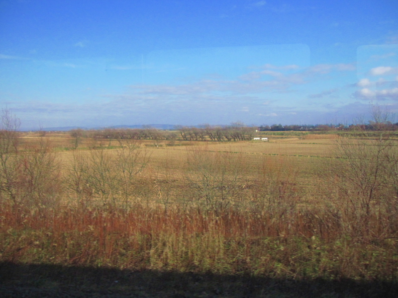 b0097747_1315726.jpg
