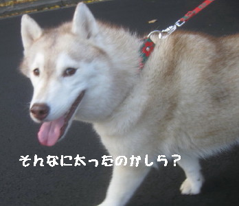 e0121548_20424679.jpg