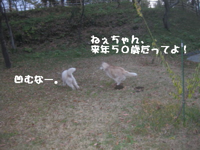 e0121548_2058931.jpg