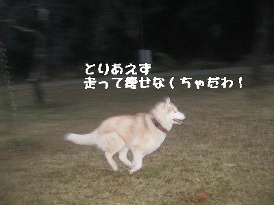 e0121548_2112857.jpg