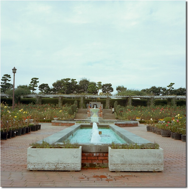 c0218049_2253262.jpg