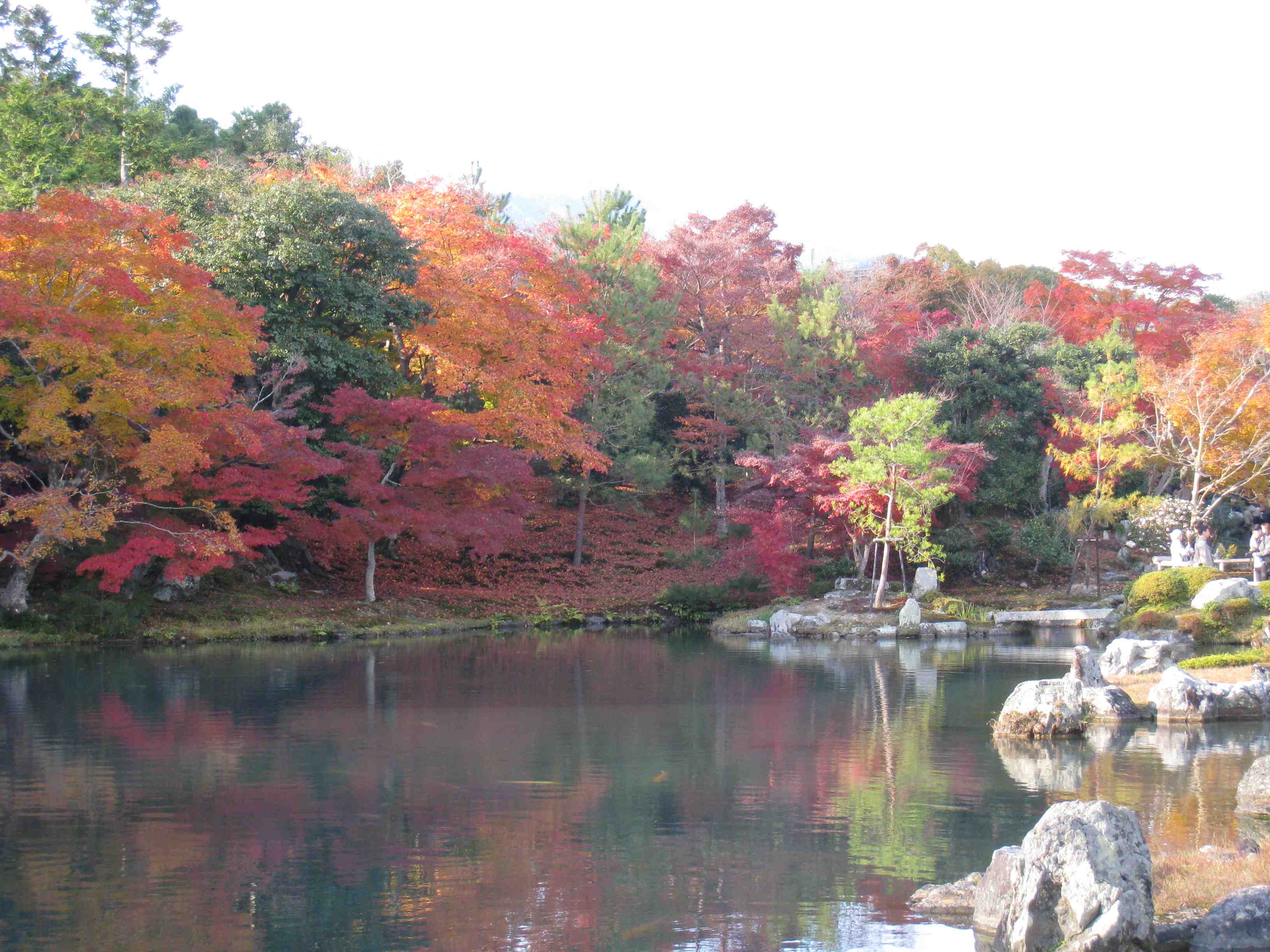f0233356_101963.jpg
