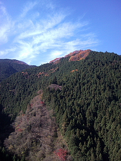 a0157160_22161684.jpg